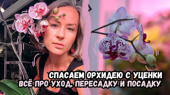 Нажми и смотри