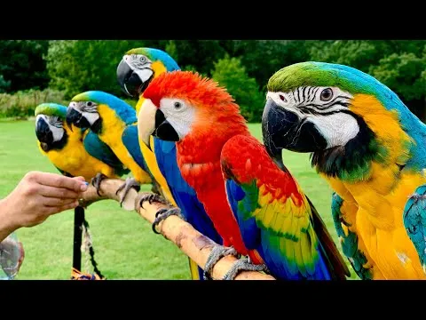 Нажми и смотри Нажми и смотри