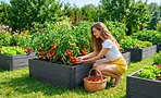 Дачники сметают полимерные доски: грядки, которые не гниют 30 лет. Но есть один подвох