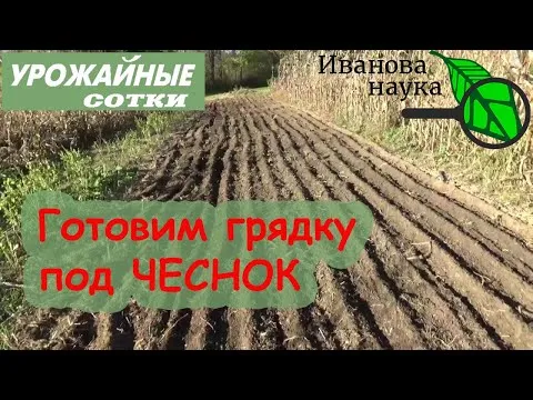 Нажми и смотри