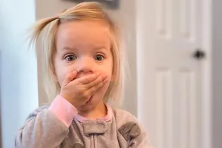 Маленькая девочка забыла в отеле плюшевую игрушку — и вот что из этого вышло