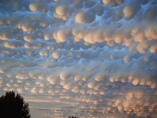 Мамматусы над Москвой