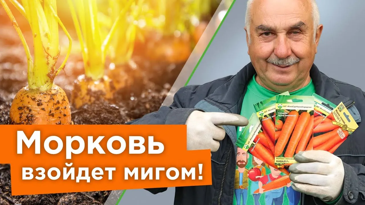 Нажми и смотри