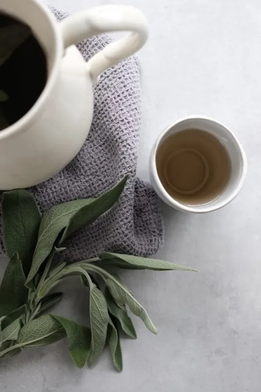 Чай с шалфеем снижает потливость Чай с шалфеем снижает потливость