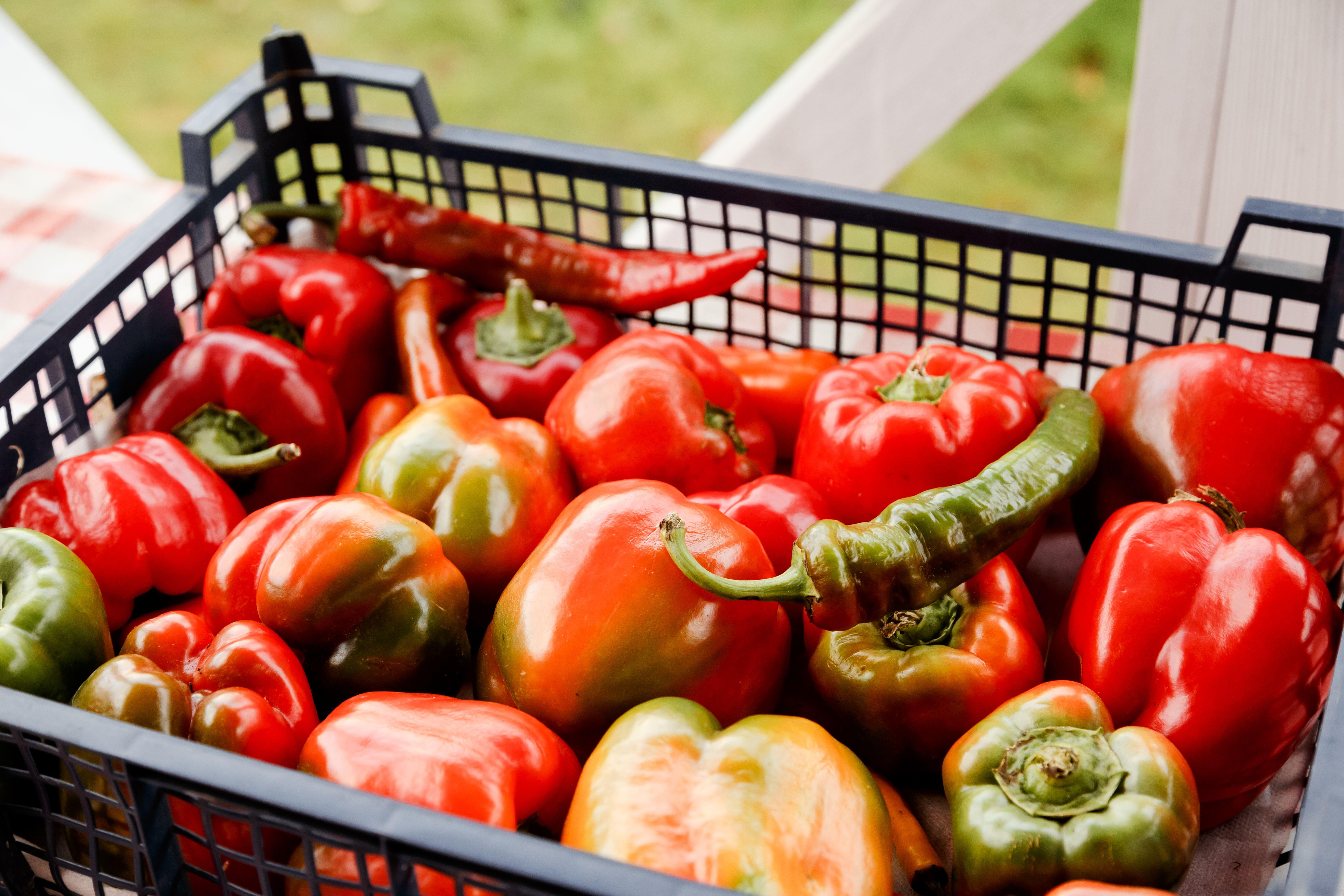 Перец Сибиряк