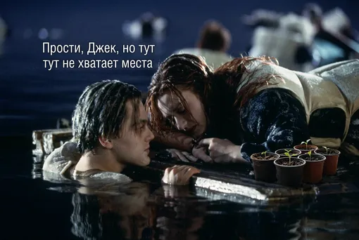 мем про дачу
