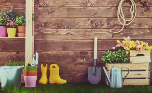 Лунный посевной календарь садовода и огородника на неделю с 25 по 31 августа 2025 года