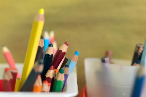 «Выбор ваш — заводить детей»: в Краснодаре чиновница ответила родителям, пожаловавшимся на нехватку мест в школах