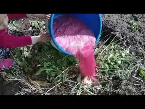 Нажми и смотри