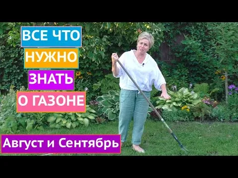 Нажми и смотри