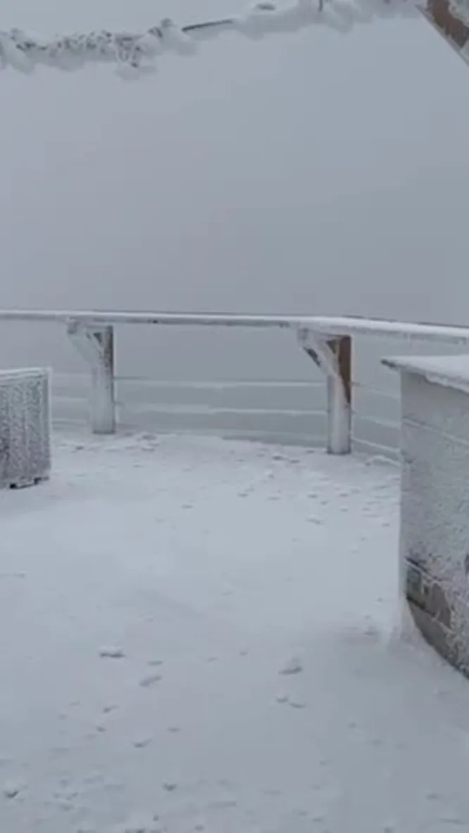 Нажми и смотри