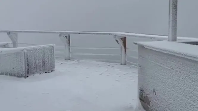 Нажми и смотри