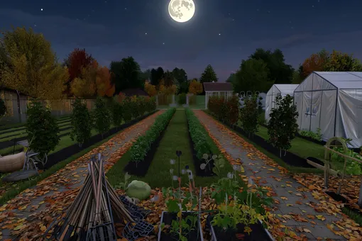 Лунный календарь огородника и садовода на неделю с 20 по 26 октября 2025 года