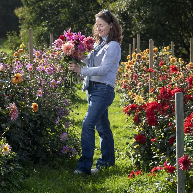 Обрезать или выкопать: как подготовить садовые цветы к похолоданию