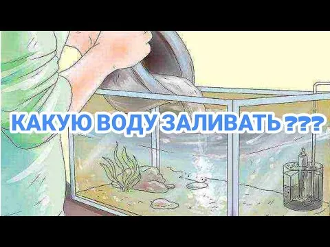 Нажми и смотри