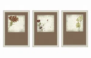 Набор постеров Гербарий, «Ангстрем», 7 639 руб. Набор постеров Гербарий, «Ангстрем», 7 639 руб.