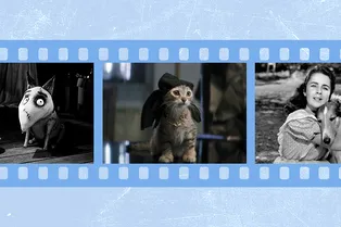 Не только «Хатико»: 9 фильмов и один сериал о домашних животных