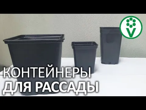Нажми и смотри
