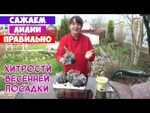 Нажми и смотри