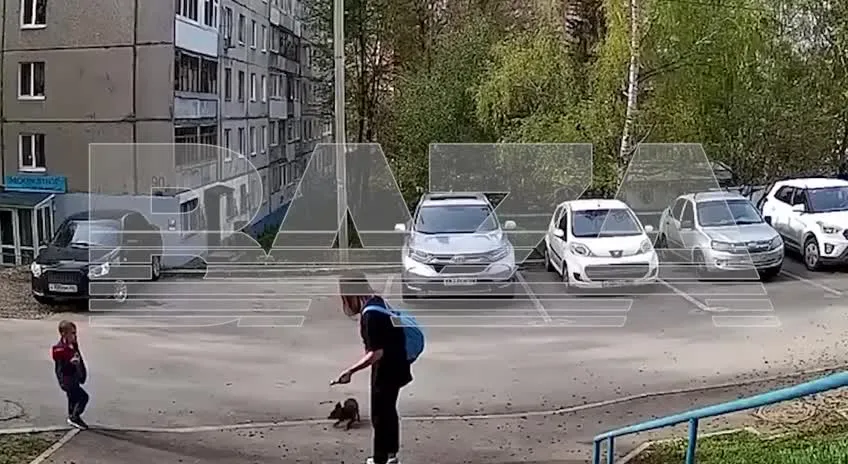 Нажми и смотри Нажми и смотри