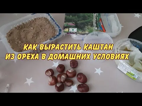 Нажми и смотри