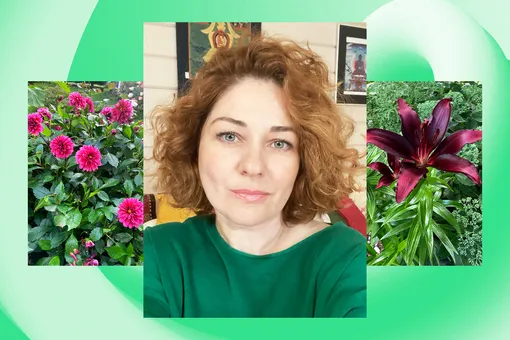 Дневник дачницы: топ-7 растений, которые красиво цветут в августе и сентябре