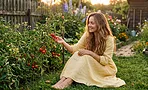 Почему томаты в июне желтеют и скручивают листья: главные причины и лечение Почему томаты в июне желтеют и скручивают листья: главные причины и лечение