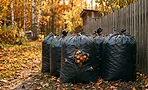 Больше не жгу сухую листву: как превратить её в ценный разрыхлитель для грядок к весне Больше не жгу сухую листву: как превратить её в ценный разрыхлитель для грядок к весне