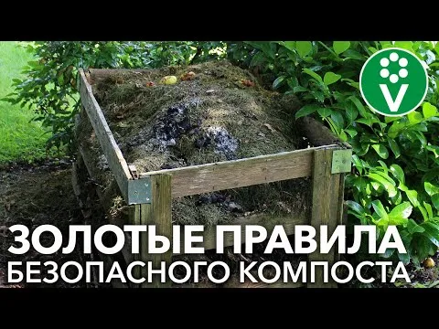 Нажми и смотри