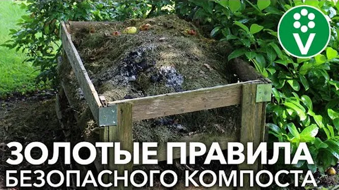 Нажми и смотри Нажми и смотри