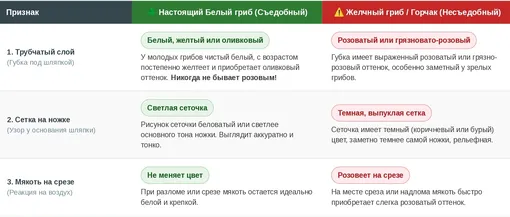 Как отличить белый гриб от желчного (горчака) фото Как отличить белый гриб от желчного (горчака) фото