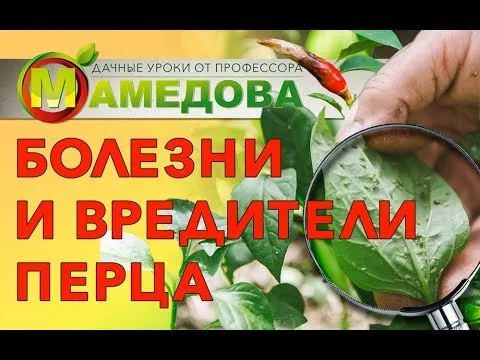 Нажми и смотри