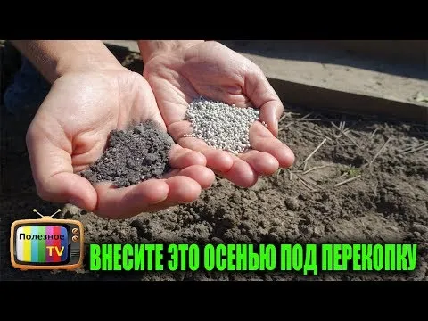 Нажми и смотри