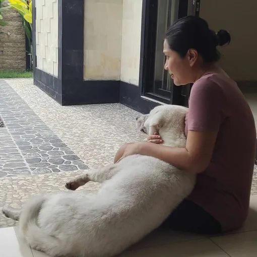 чудесное преображение больного щенка чудесное преображение больного щенка