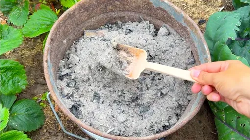 Зольная вытяжка