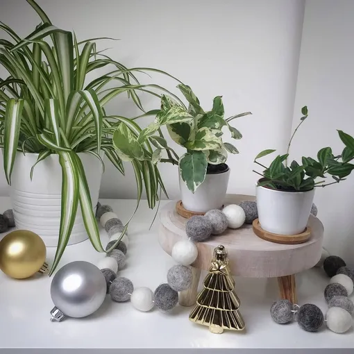 подоконник на рождество подоконник на рождество