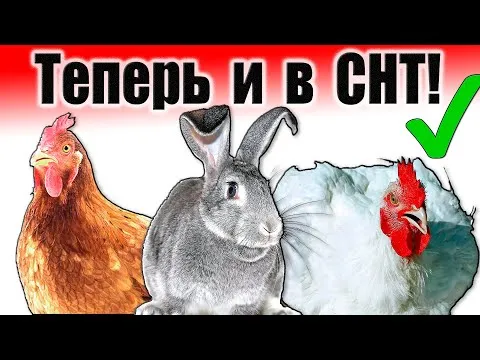 Нажми и смотри