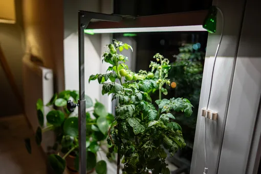 Люминесцентные трубки Люминесцентные трубки