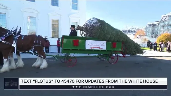 Нажми и смотри