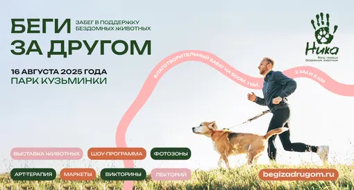 Фестиваль Беги за другом