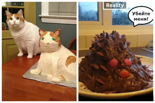 25 кулинарных шедевров, которые рассмешат любого 25 кулинарных шедевров, которые рассмешат любого