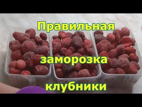Нажми и смотри