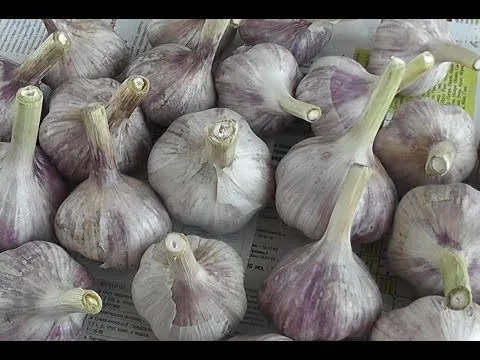 Нажми и смотри