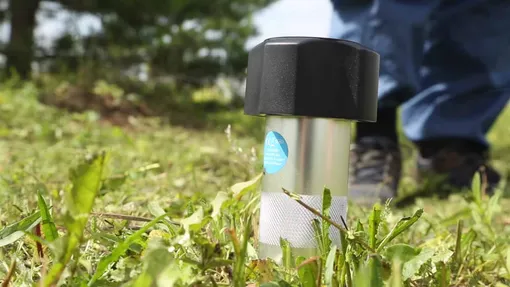 Как защитить молодую яблоню от зайцев и грызунов зимой Как защитить молодую яблоню от зайцев и грызунов зимой