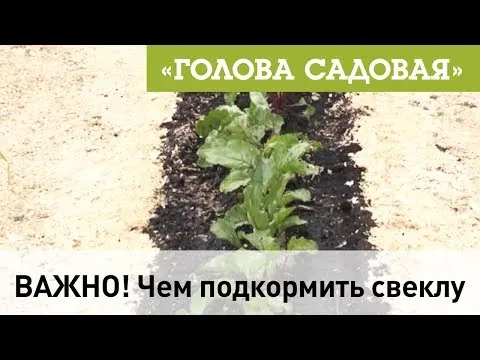 Нажми и смотри