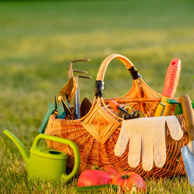 15 садовых изобретений и приспособлений для облегчения труда на даче и в саду