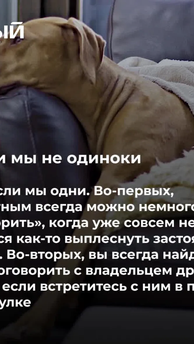 Нажми и смотри