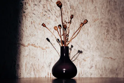 Воруют счастье, любовь и деньги: какие предметы в доме надо выбросить до Нового года Воруют счастье, любовь и деньги: какие предметы в доме надо выбросить до Нового года