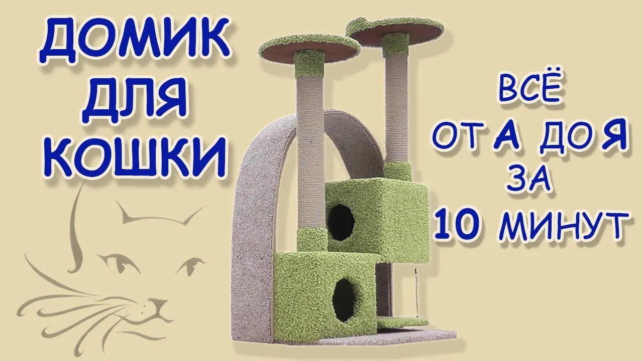 Нажми и смотри