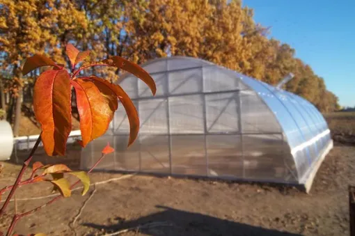 Работы для огородников в октябре